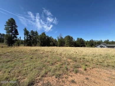 New Release in Torreon!!!! TORREON LAKES, come take a look at on Torreon Golf Club in Arizona - for sale on GolfHomes.com, golf home, golf lot