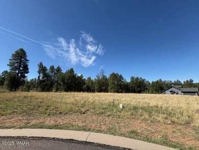 New Release in Torreon!!!! TORREON LAKES, come take a look at on Torreon Golf Club in Arizona - for sale on GolfHomes.com, golf home, golf lot