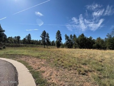 New Release in Torreon!!!! TORREON LAKES, come take a look at on Torreon Golf Club in Arizona - for sale on GolfHomes.com, golf home, golf lot
