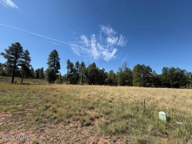 New Release in Torreon!!!! TORREON LAKES, come take a look at on Torreon Golf Club in Arizona - for sale on GolfHomes.com, golf home, golf lot