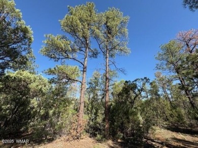 New Release in Torreon!!!! TORREON LAKES, come take a look at on Torreon Golf Club in Arizona - for sale on GolfHomes.com, golf home, golf lot