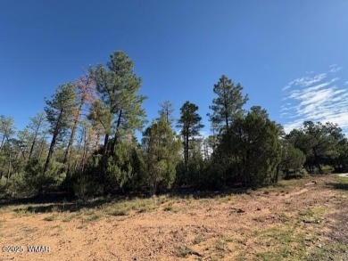 New Release in Torreon!!!! TORREON LAKES, come take a look at on Torreon Golf Club in Arizona - for sale on GolfHomes.com, golf home, golf lot