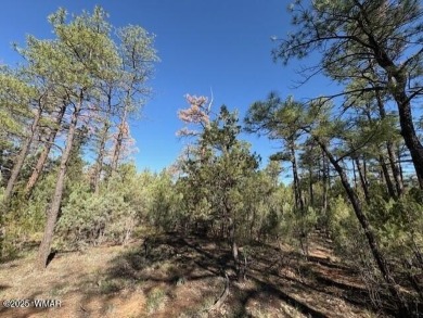New Release in Torreon!!!! TORREON LAKES, come take a look at on Torreon Golf Club in Arizona - for sale on GolfHomes.com, golf home, golf lot