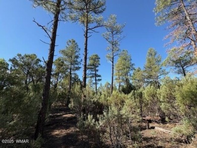New Release in Torreon!!!! TORREON LAKES, come take a look at on Torreon Golf Club in Arizona - for sale on GolfHomes.com, golf home, golf lot
