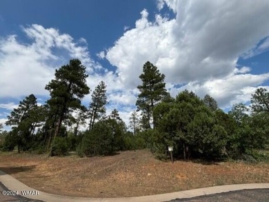 New Release in Torreon!!!! TORREON LAKES, come take a look at on Torreon Golf Club in Arizona - for sale on GolfHomes.com, golf home, golf lot