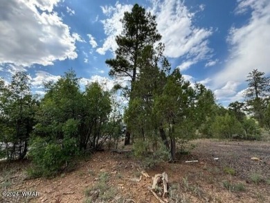 New Release in Torreon!!!! TORREON LAKES, come take a look at on Torreon Golf Club in Arizona - for sale on GolfHomes.com, golf home, golf lot