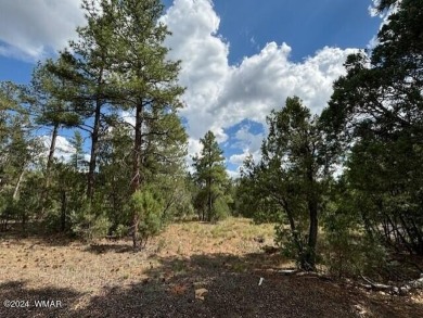 New Release in Torreon!!!! TORREON LAKES, come take a look at on Torreon Golf Club in Arizona - for sale on GolfHomes.com, golf home, golf lot