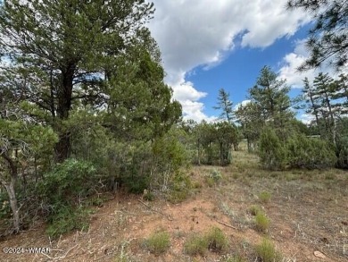 New Release in Torreon!!!! TORREON LAKES, come take a look at on Torreon Golf Club in Arizona - for sale on GolfHomes.com, golf home, golf lot