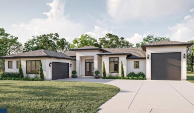 Experience the best of modern living in this beautifully on Pecan Plantation Country Club in Texas - for sale on GolfHomes.com, golf home, golf lot