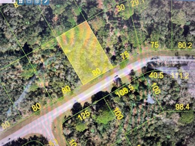 Great lot in a growing location where many new homes are being on Riverwood Golf Club in Florida - for sale on GolfHomes.com, golf home, golf lot