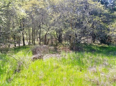 Great place to build a home on a secluded half acre lot in White on White Bluff Resort - Old Course in Texas - for sale on GolfHomes.com, golf home, golf lot
