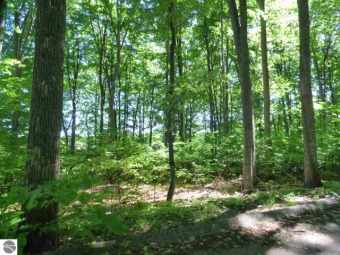 Seller says bring all offers.  Lovely wooded lot on the Shanty on Shanty Creek - Legend and Summit Golf Courses - Legend in Michigan - for sale on GolfHomes.com, golf home, golf lot