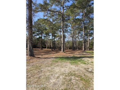 Ocean Ridge Plantation is home to the elegant country club on Sea Trail Golf Resort in North Carolina - for sale on GolfHomes.com, golf home, golf lot