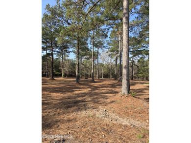 Ocean Ridge Plantation is home to the elegant country club on Sea Trail Golf Resort in North Carolina - for sale on GolfHomes.com, golf home, golf lot