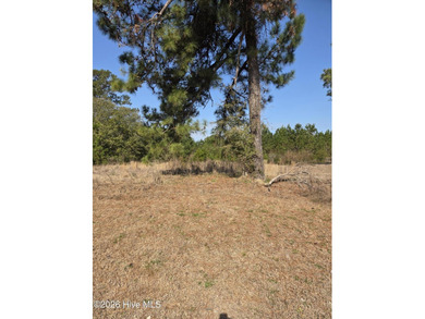 Ocean Ridge Plantation is home to the elegant country club on Sea Trail Golf Resort in North Carolina - for sale on GolfHomes.com, golf home, golf lot