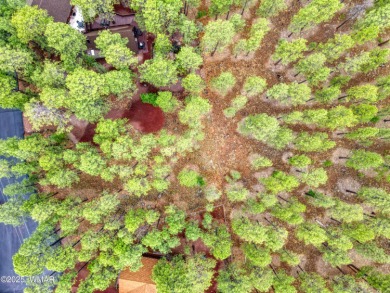 BORDERING NATIONAL FOREST. Located in Pinetop Country Club .42 on Pinetop Lakes Country Club in Arizona - for sale on GolfHomes.com, golf home, golf lot