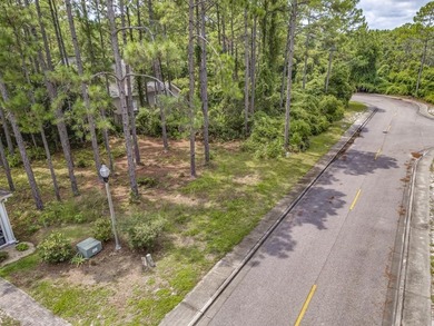 Terrific location in St James Bay Golf and Pickleball Resort on St. James Bay in Florida - for sale on GolfHomes.com, golf home, golf lot