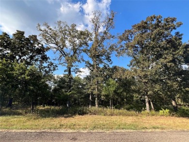 Build your dream home in this Country Club addition with 1.14 on Sulphur Springs Country Club in Texas - for sale on GolfHomes.com, golf home, golf lot