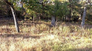 Build your dream home in this Country Club addition with 1.14 on Sulphur Springs Country Club in Texas - for sale on GolfHomes.com, golf home, golf lot