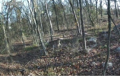 Build your dream home in this Country Club addition with 1.14 on Sulphur Springs Country Club in Texas - for sale on GolfHomes.com, golf home, golf lot