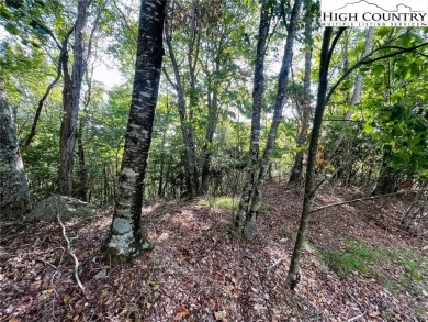 Nice upside view lot at a great price. On a paved road with city on Beech Mountain Club in North Carolina - for sale on GolfHomes.com, golf home, golf lot