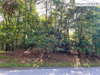Nice upside view lot at a great price. On a paved road with city on Beech Mountain Club in North Carolina - for sale on GolfHomes.com, golf home, golf lot