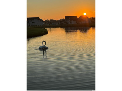 This one-of-a-kind Edisto model showcases exquisite designer on Wicked Stick Golf Club in South Carolina - for sale on GolfHomes.com, golf home, golf lot
