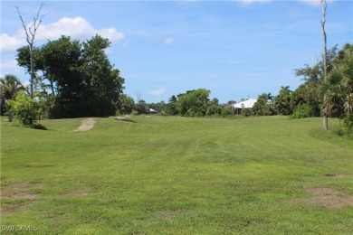 DIAMOND IN THE ROUGH! A GORDON G LEWIS DESIGNED 65 ACRE 18 HOLE on Alden Pines Golf Club in Florida - for sale on GolfHomes.com, golf home, golf lot