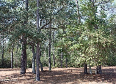 This homesite is located in a Cul de sac and surrounded by the on Ocean Ridge Plantation in North Carolina - for sale on GolfHomes.com, golf home, golf lot