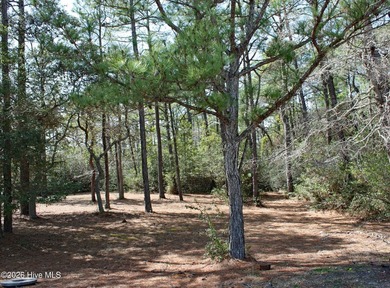 This homesite is located in a Cul de sac and surrounded by the on Ocean Ridge Plantation in North Carolina - for sale on GolfHomes.com, golf home, golf lot