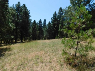 Experience mountain living at its finest on these 96 acres on Terrace Lakes Golf Resort in Idaho - for sale on GolfHomes.com, golf home, golf lot