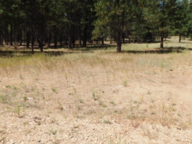 Experience mountain living at its finest on these 96 acres on Terrace Lakes Golf Resort in Idaho - for sale on GolfHomes.com, golf home, golf lot