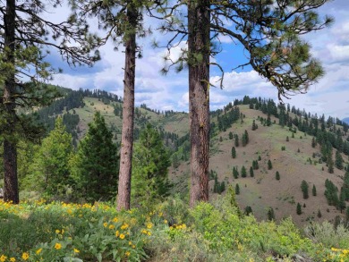 Experience mountain living at its finest on these 96 acres, with on Terrace Lakes Golf Resort in Idaho - for sale on GolfHomes.com, golf home, golf lot