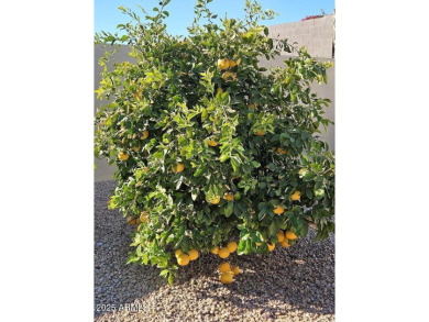 Showcasing a perfect blend of sophistication & comfort, David on Estrella Mountain Ranch Golf Course in Arizona - for sale on GolfHomes.com, golf home, golf lot