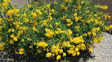 Showcasing a perfect blend of sophistication & comfort, David on Estrella Mountain Ranch Golf Course in Arizona - for sale on GolfHomes.com, golf home, golf lot