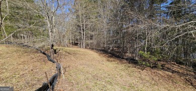 Build your dream lake and golf retreat on this stunning homesite on Currahee Golf Club in Georgia - for sale on GolfHomes.com, golf home, golf lot