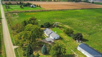 Welcome to your dream home in Melvin, Michigan! Nestled on 1.38 on Willow Tree Golf Course in Michigan - for sale on GolfHomes.com, golf home, golf lot