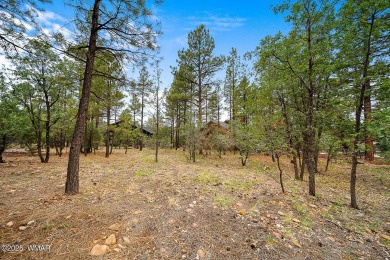 Build Your Dream Home in Torreon - A Premier Troon Development.

 on Torreon Golf Club in Arizona - for sale on GolfHomes.com, golf home, golf lot