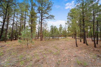 Build Your Dream Home in Torreon - A Premier Troon Development.

 on Torreon Golf Club in Arizona - for sale on GolfHomes.com, golf home, golf lot