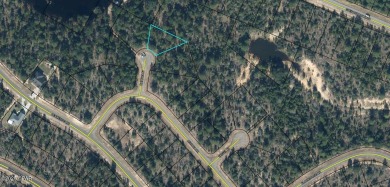Discover the perfect culdesac lot in Unit 19 of Sunny Hills on Sunny Hills Golf and Country Club in Florida - for sale on GolfHomes.com, golf home, golf lot