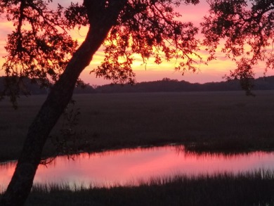 VIEWS, LOCATION & Turnkey! Stunning Marsh/River views & Sunsets on The Seabrook Island Club in South Carolina - for sale on GolfHomes.com, golf home, golf lot