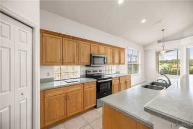 One or more photo(s) has been virtually staged.  Imagine on Skyview At Terra Vista Golf and Country Club in Florida - for sale on GolfHomes.com, golf home, golf lot