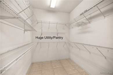 Enjoy the EXTRA SAVINGS ON THIS LAKE HOME! Virtually Staged on Skyview At Terra Vista Golf and Country Club in Florida - for sale on GolfHomes.com, golf home, golf lot