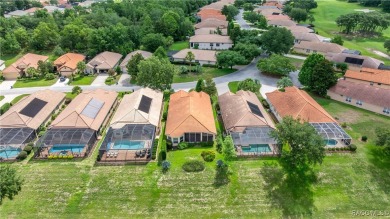 Enjoy the EXTRA SAVINGS ON THIS LAKE HOME! Virtually Staged on Skyview At Terra Vista Golf and Country Club in Florida - for sale on GolfHomes.com, golf home, golf lot