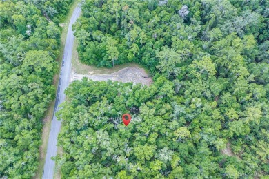 Don't miss this oversized, flat, and buildable .30-acre lot in on Citrus Springs Country Club in Florida - for sale on GolfHomes.com, golf home, golf lot