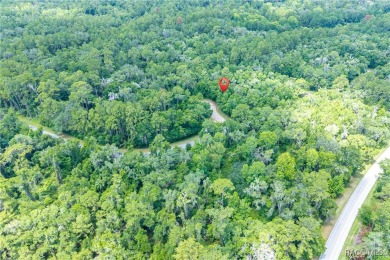 Don't miss this oversized, flat, and buildable .30-acre lot in on Citrus Springs Country Club in Florida - for sale on GolfHomes.com, golf home, golf lot