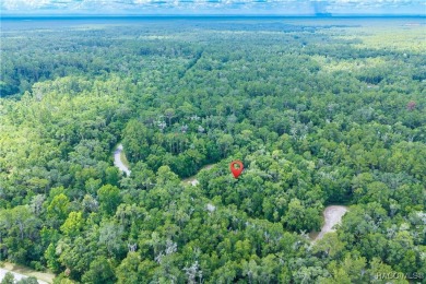 Don't miss this oversized, flat, and buildable .30-acre lot in on Citrus Springs Country Club in Florida - for sale on GolfHomes.com, golf home, golf lot