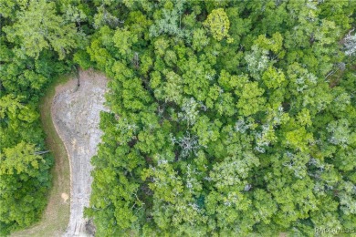 Don't miss this oversized, flat, and buildable .30-acre lot in on Citrus Springs Country Club in Florida - for sale on GolfHomes.com, golf home, golf lot