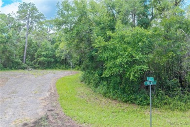 Don't miss this oversized, flat, and buildable .30-acre lot in on Citrus Springs Country Club in Florida - for sale on GolfHomes.com, golf home, golf lot