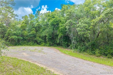 Don't miss this oversized, flat, and buildable .30-acre lot in on Citrus Springs Country Club in Florida - for sale on GolfHomes.com, golf home, golf lot